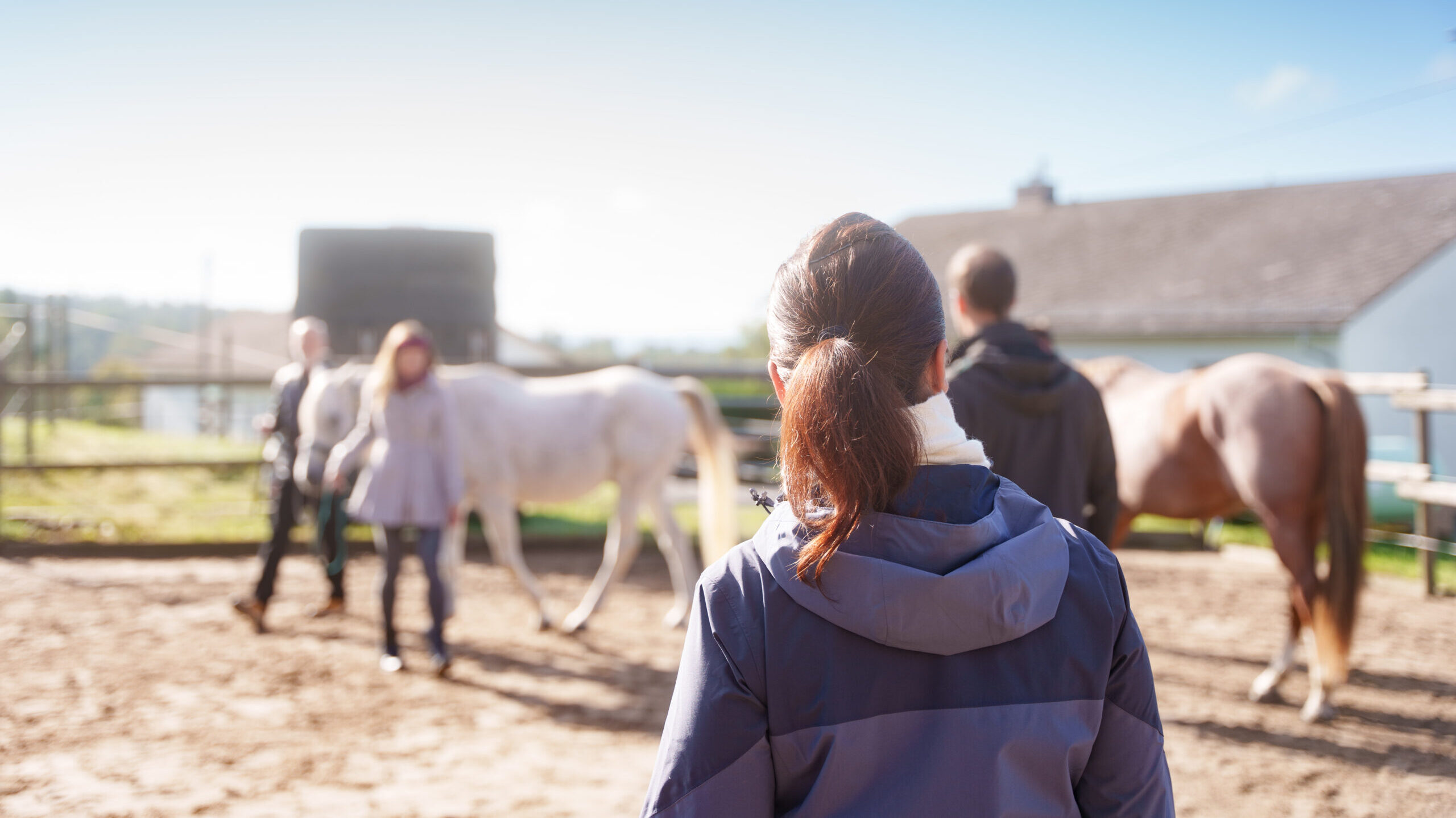 Arbeitest du im Coaching eigentlich immer mit Pferd?